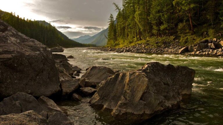 99Exch ???? ?? ?? ????? ??? ??????